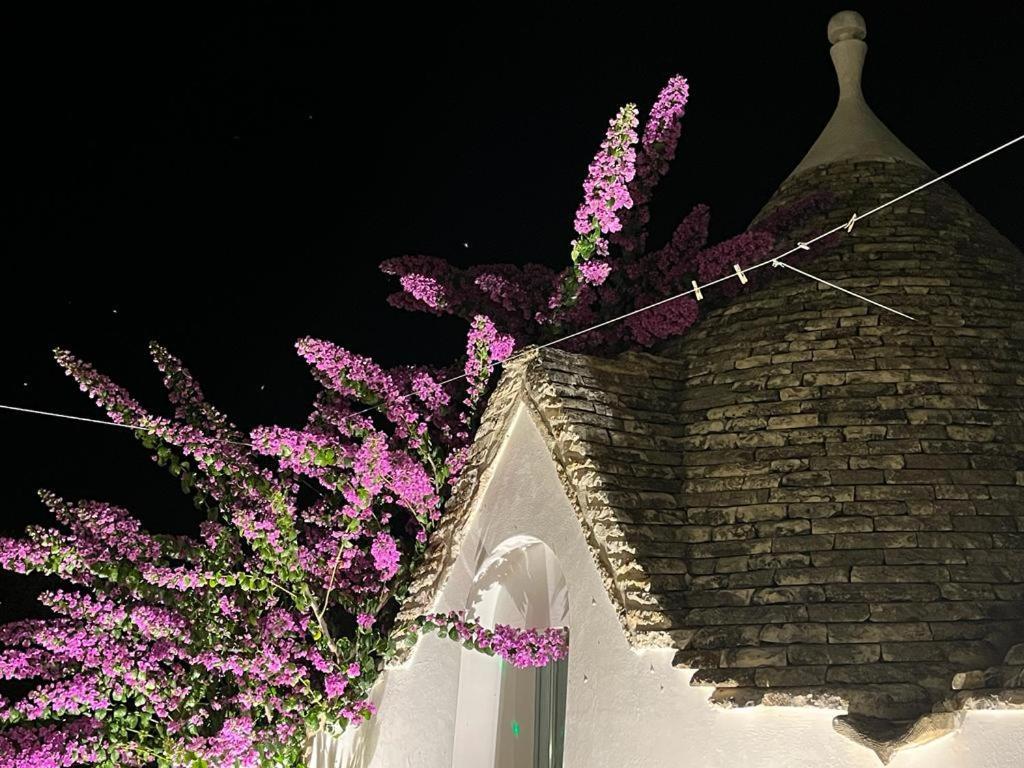 Trulli Harmonia Con Piscina - Alberobello Extérieur photo